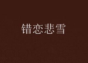 印中青年论坛“从雅万高铁看印尼与中国的合作潜力”圆满举行