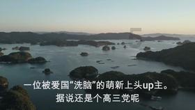植物大战僵尸4
