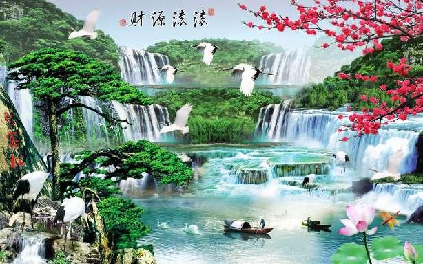 海口市美兰区政协委员崔茂毅:因地制宜发展东寨港红树林观鸟旅游产业