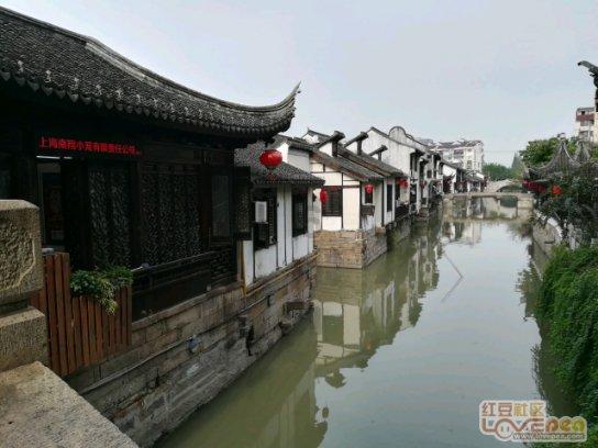 白色森林逃脱