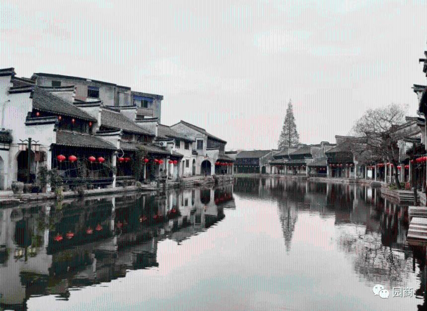 宋代医药学:触摸现代医学的钥匙